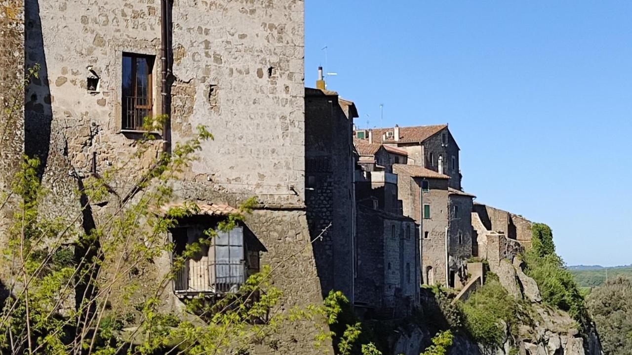 Apartament La Chascona Di Farnese Casa Di Tufo Nel Borgo Zewnętrze zdjęcie
