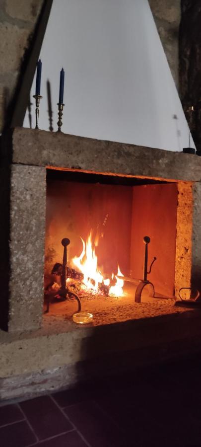 Apartament La Chascona Di Farnese Casa Di Tufo Nel Borgo Zewnętrze zdjęcie
