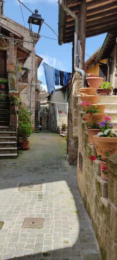 Apartament La Chascona Di Farnese Casa Di Tufo Nel Borgo Zewnętrze zdjęcie