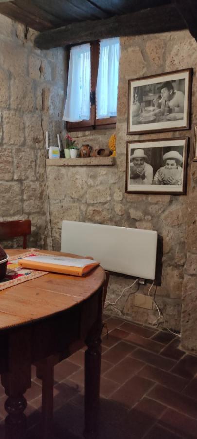 Apartament La Chascona Di Farnese Casa Di Tufo Nel Borgo Zewnętrze zdjęcie