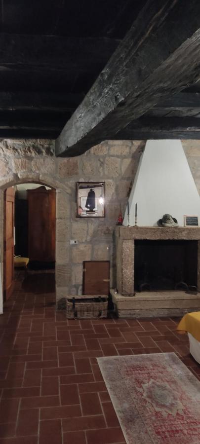 Apartament La Chascona Di Farnese Casa Di Tufo Nel Borgo Zewnętrze zdjęcie