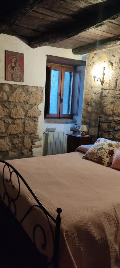 Apartament La Chascona Di Farnese Casa Di Tufo Nel Borgo Zewnętrze zdjęcie
