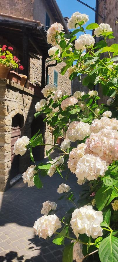 Apartament La Chascona Di Farnese Casa Di Tufo Nel Borgo Zewnętrze zdjęcie