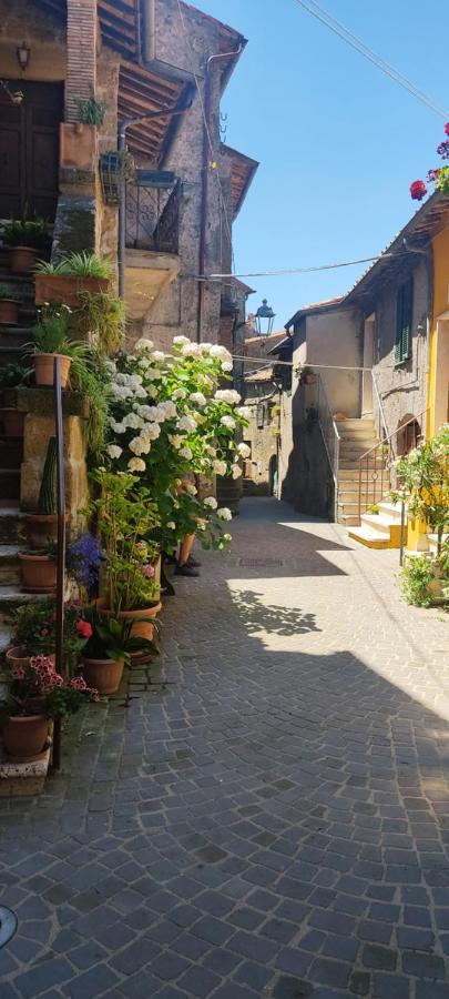 Apartament La Chascona Di Farnese Casa Di Tufo Nel Borgo Zewnętrze zdjęcie